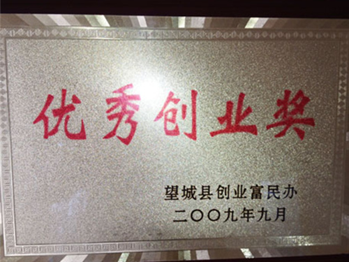 优秀创业奖